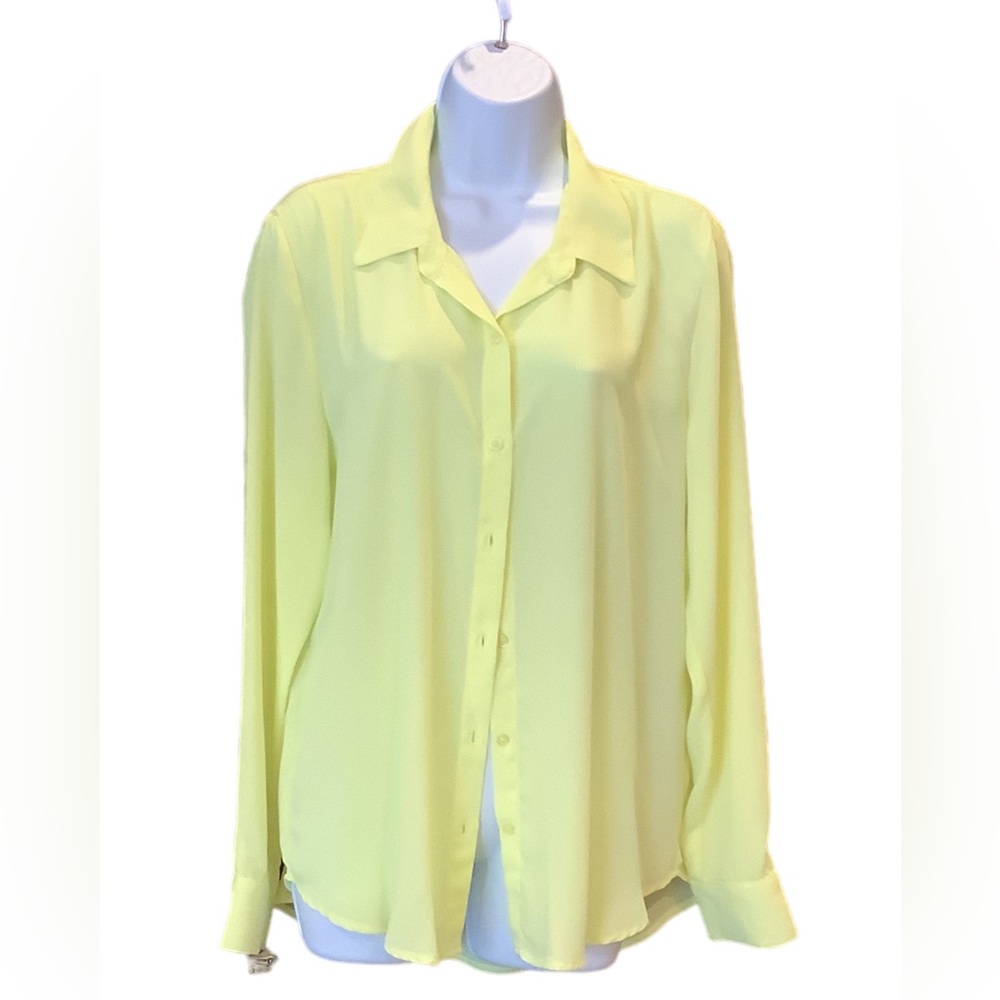 NWT Sheer Blouse